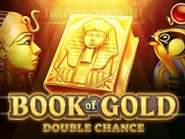 Book of Gold Double Chance game thumbnail