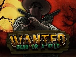 Wanted Dead or a Wild game thumbnail